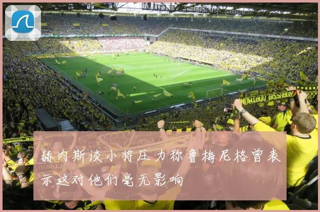 赫内斯谈小将压力称鲁梅尼格曾表示这对他们毫无影响